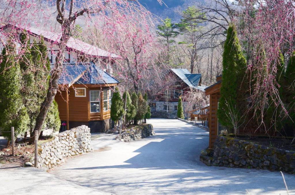 Hakuba Canadian Lodge Extérieur photo